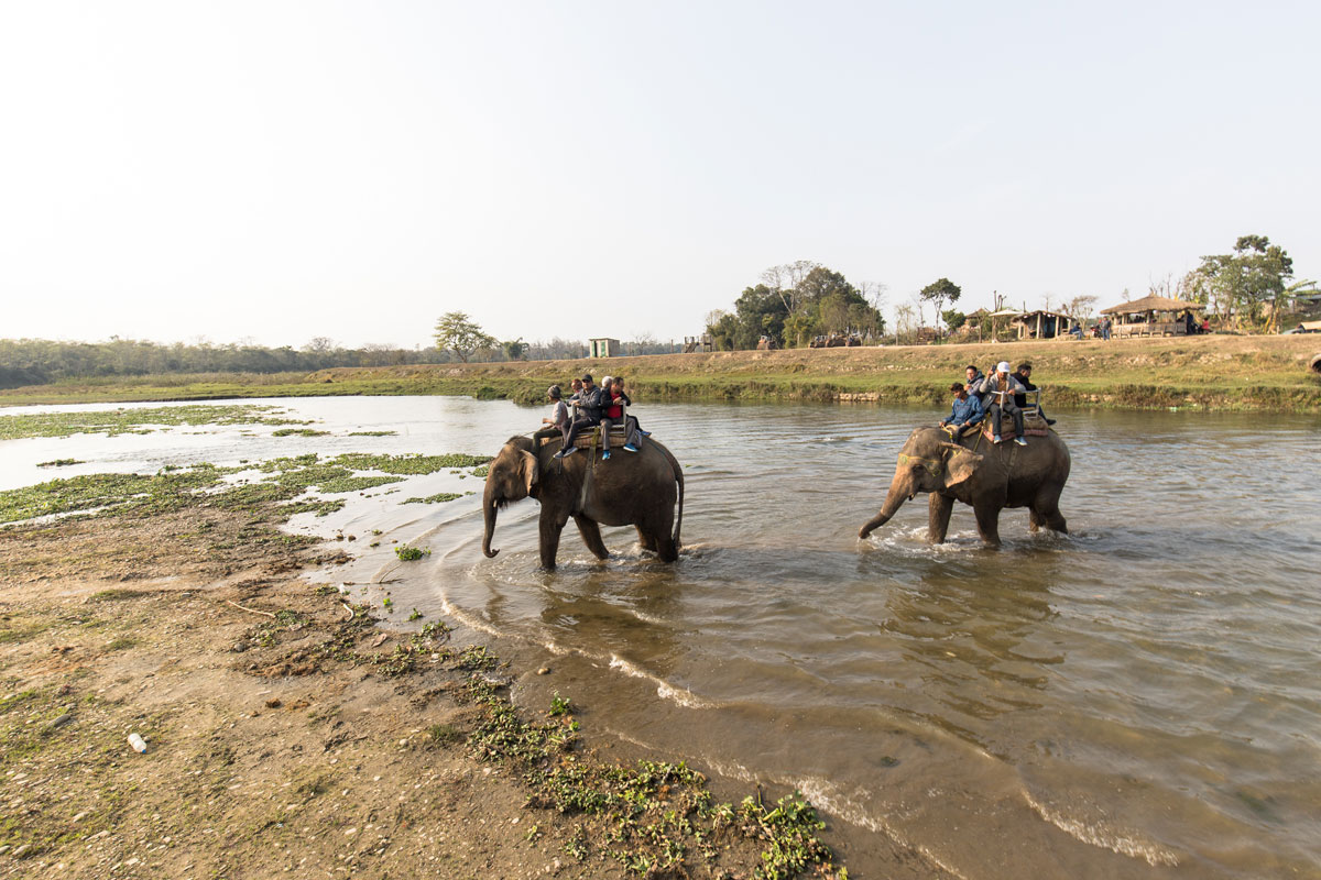 2 Nights 3 days Jungle Safari with Jeep Drive Tour
